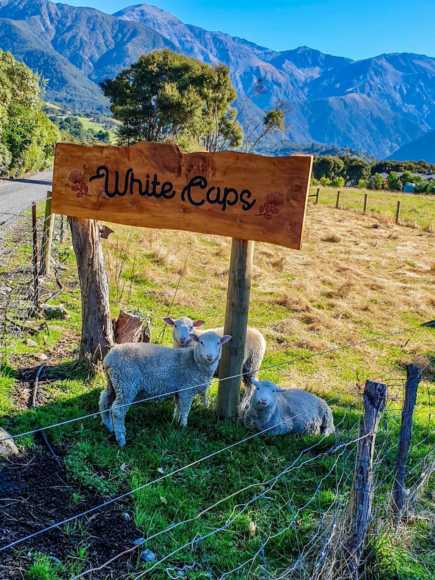 White Caps Kaikoura Farmstay Buitenkant foto